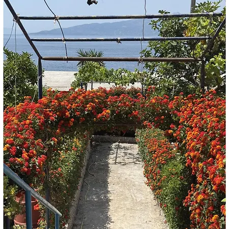 アパート Beachside Coral Nest Sarandë