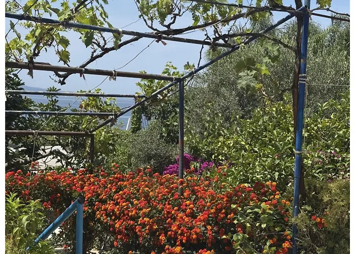 Beachside Coral Nest アパート